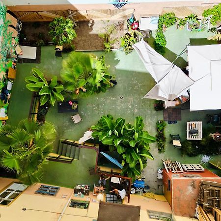 Jungle House Hostel Las Palmas de Gran Canaria Exterior foto